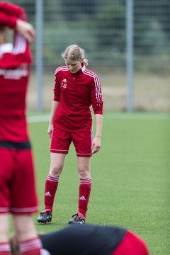 Bild 38 - F FSG Kaltenkirchen - SV Wahlstedt : Ergebnis: 6:1